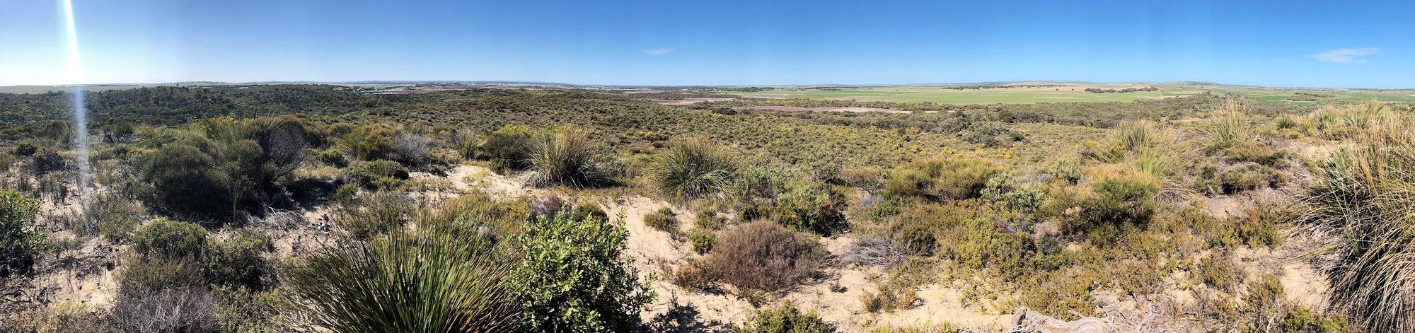 Mount Sandy South Pole Project.jpg