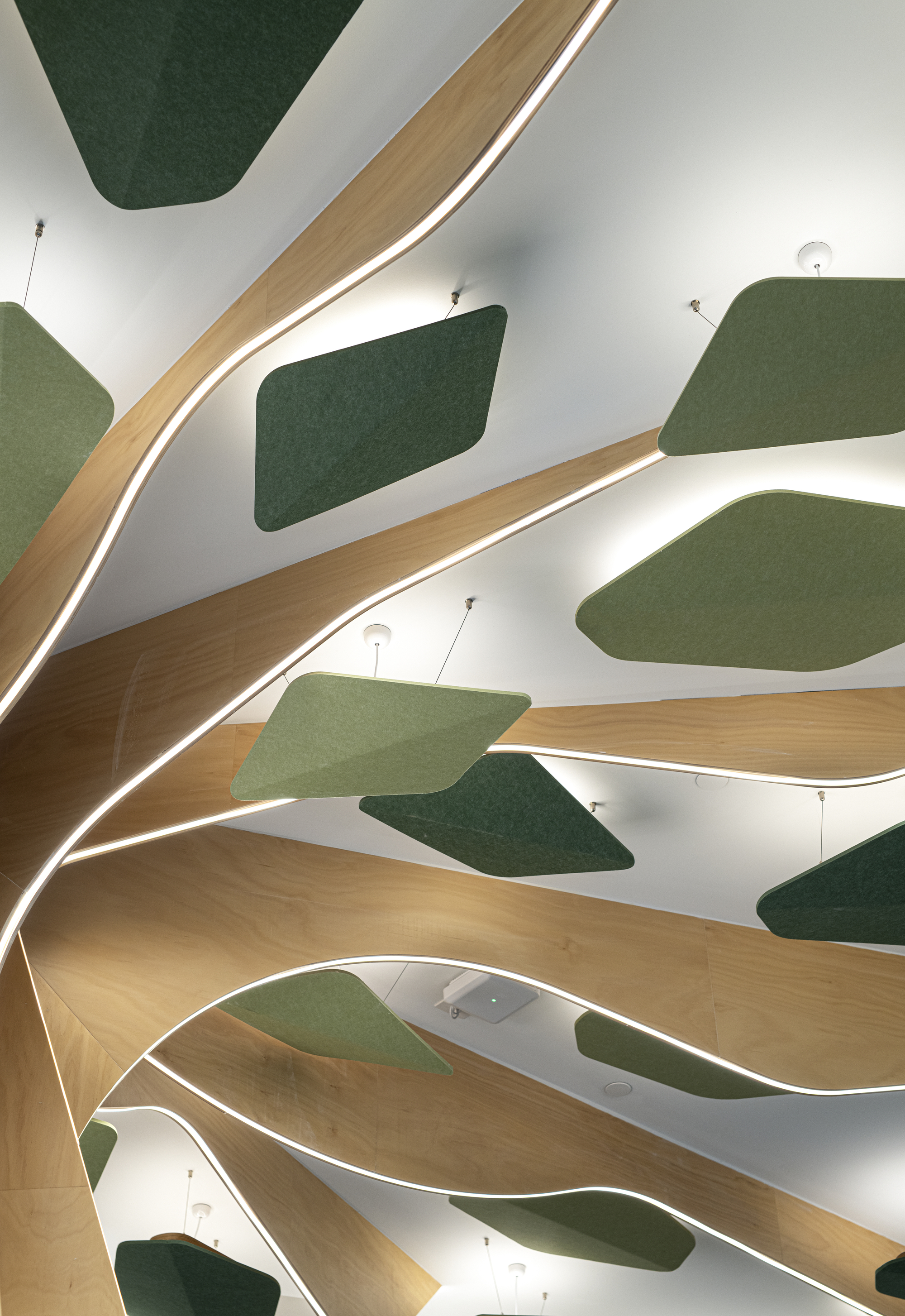 Ipswich Childrens Library by Buchan Mindi Cooke Photography Image 2.jpg