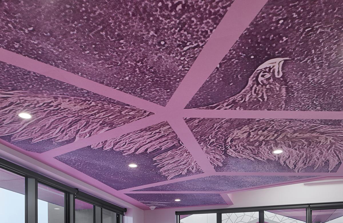 Tarniet School VSBA Project portrait 1.jpg