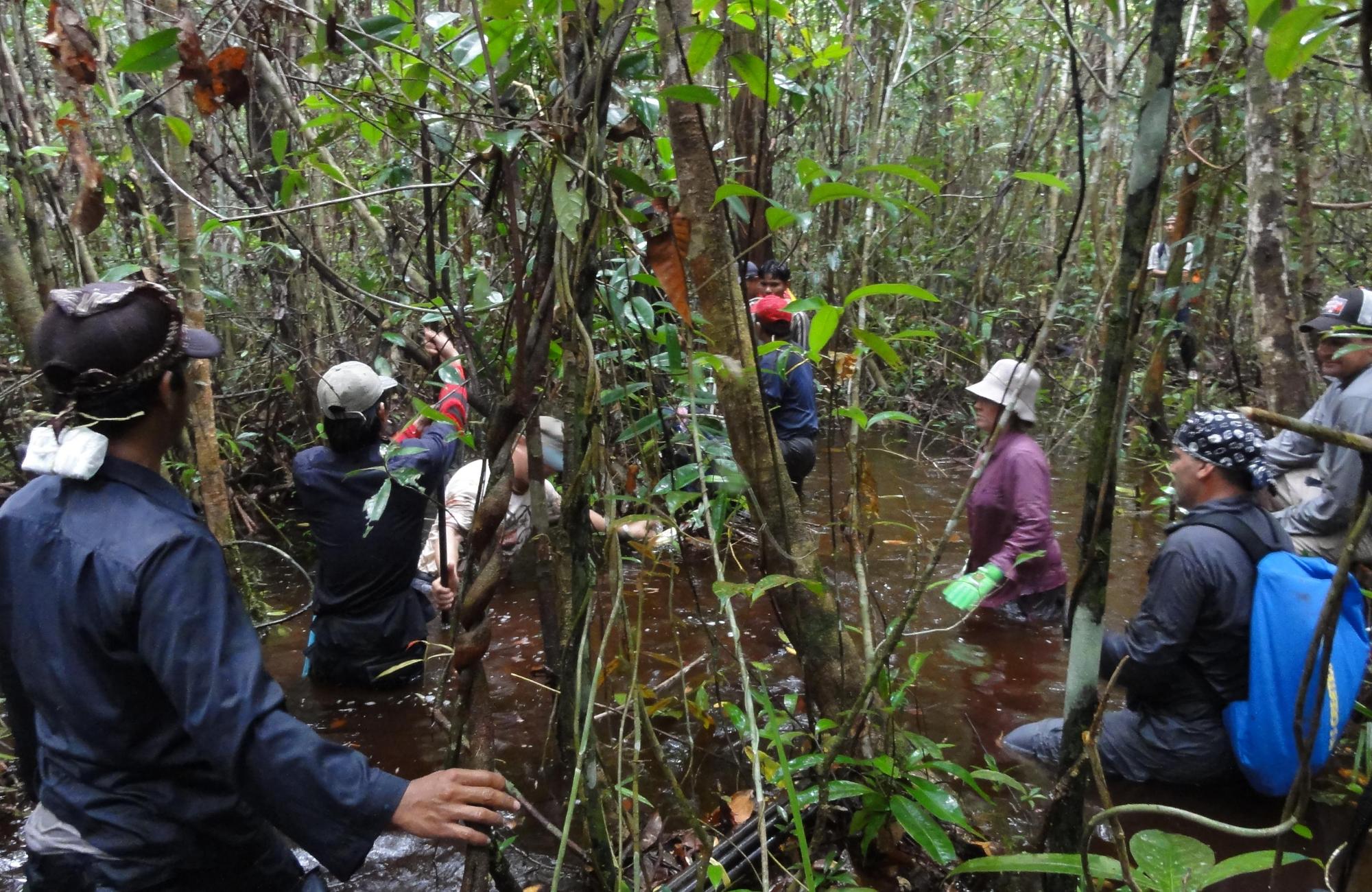 South Pole Project Rimba Raya Biodiversity Reserve image 1.JPG