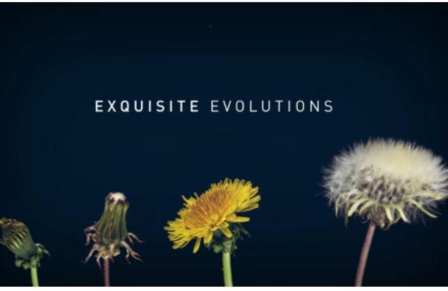 Exquisite Evolutions video placeholder.JPG