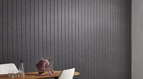 EchoPanel® Longitude