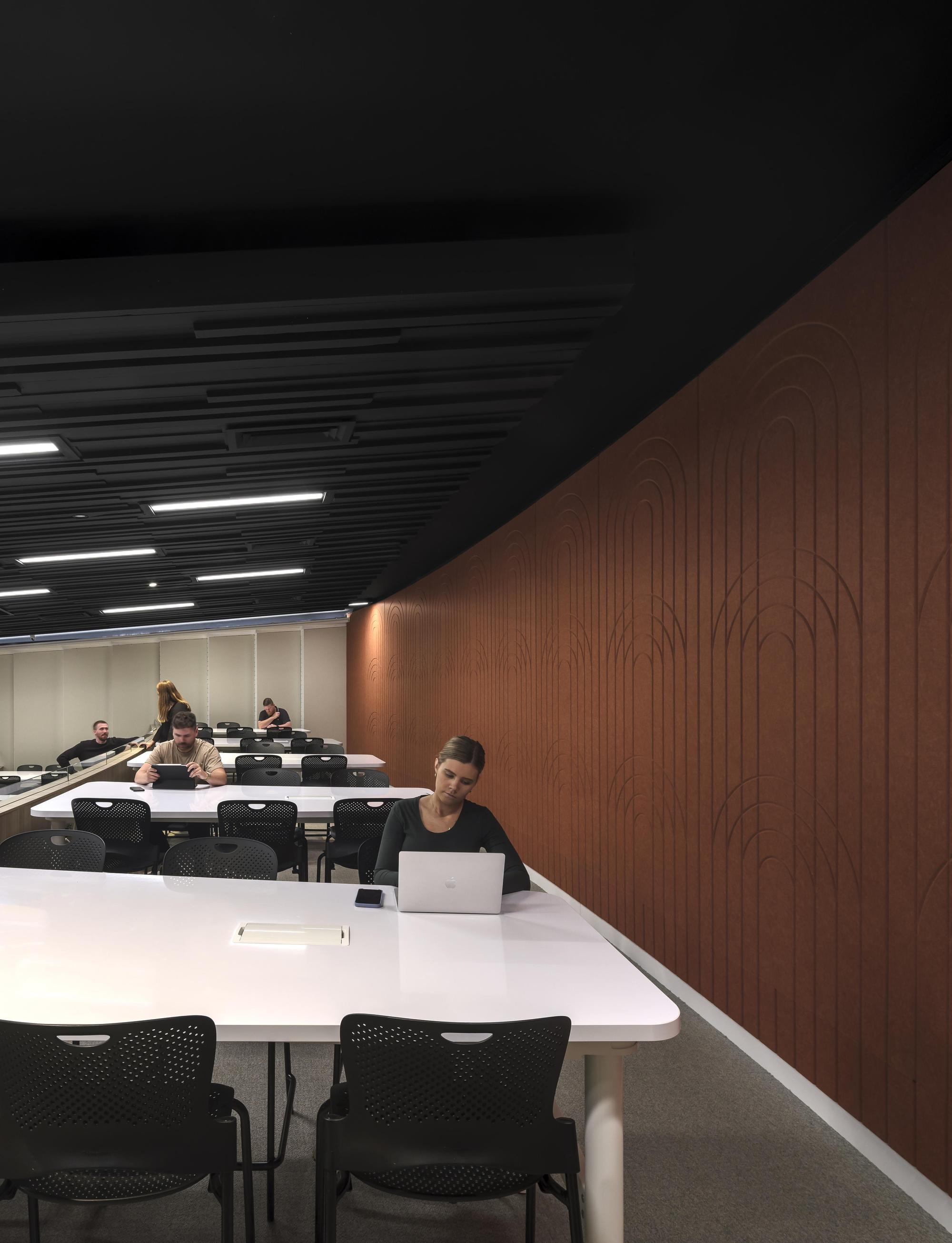 EchoPanel Empire 167 University of Adelaide Aaron Citt Photography Image 2.jpg