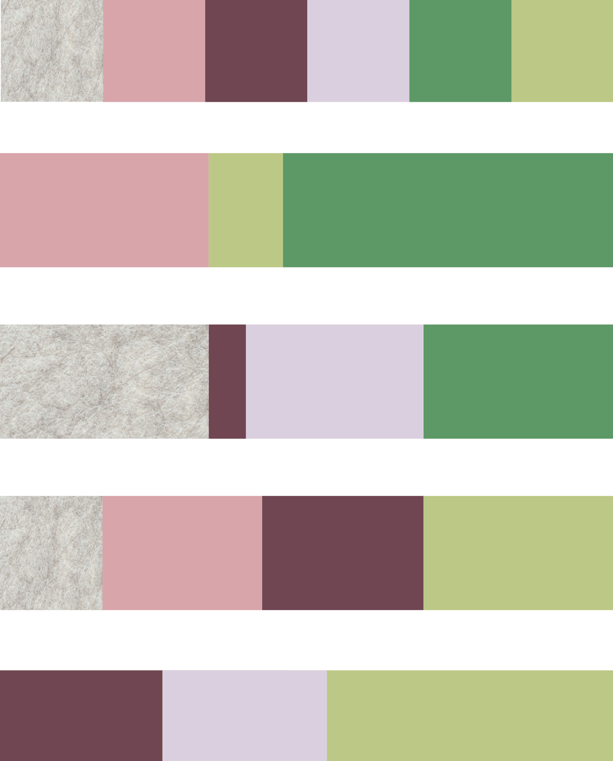 Colour and Trend 23-24 ReWilding_colour bars-01.jpg