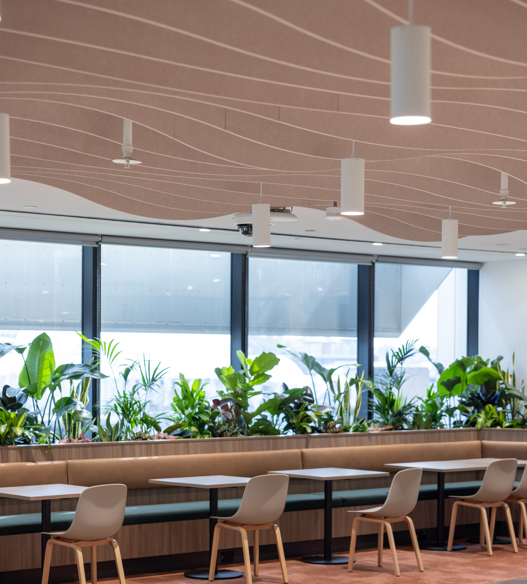 UoW_IA Design_Pixel Collective_2.jpg