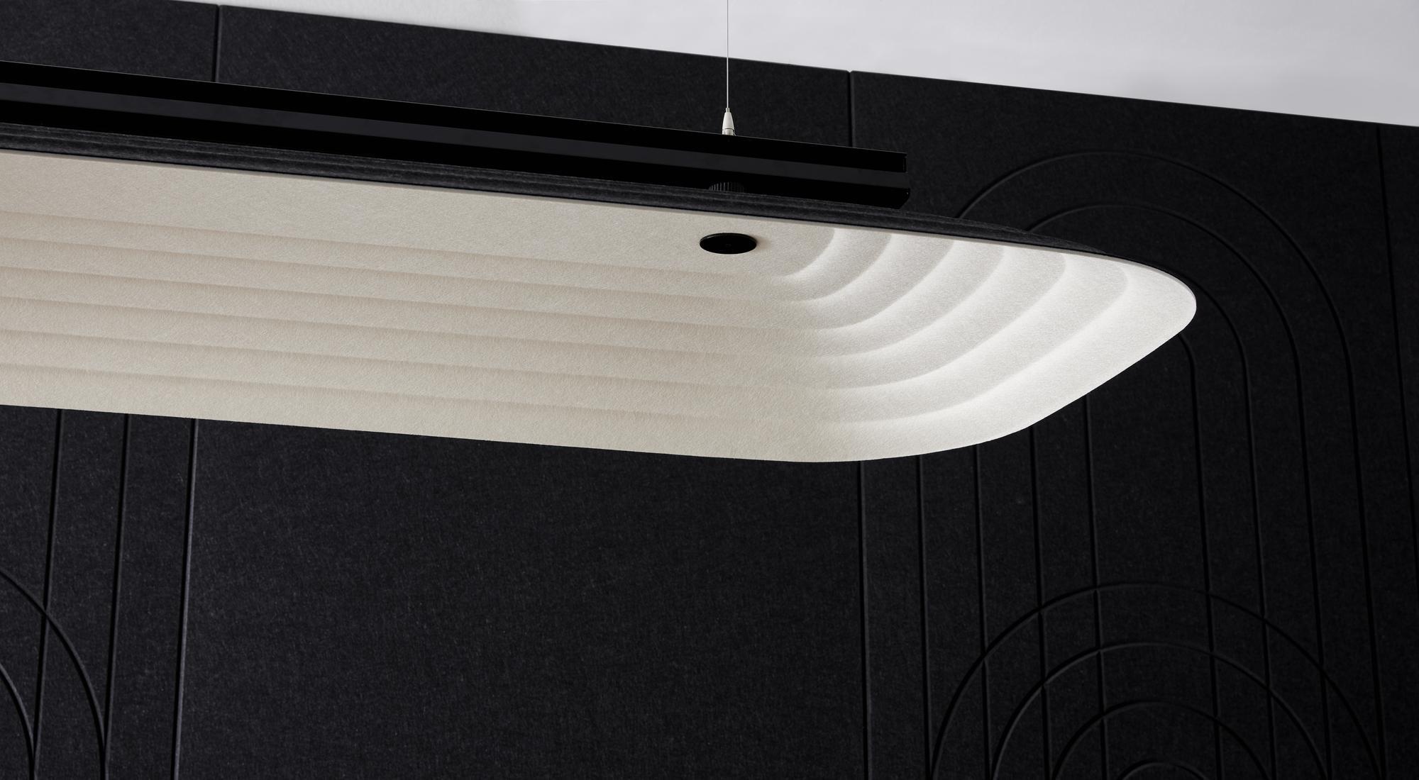 Fuji Hachi acoustic ceiling Detail image.jpg