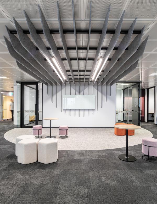 Show Suite Hero Image.jpg